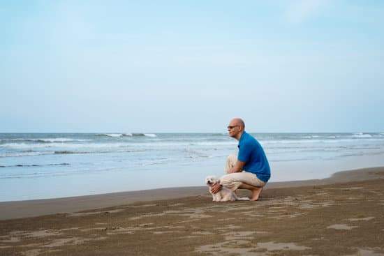 **Aquel perro** : Ce chien (là-bas, éloigné)