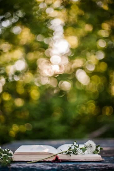 Este libro es **suyo** : Ce livre est à lui/elle