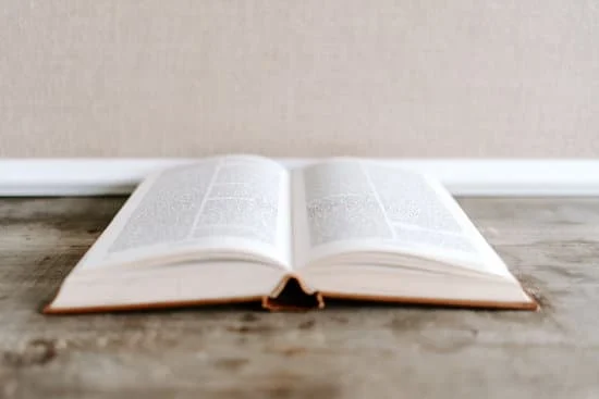 Este libro es **vuestro** : Ce livre est à vous