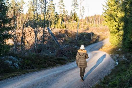 De la tarde : De l'après-midi