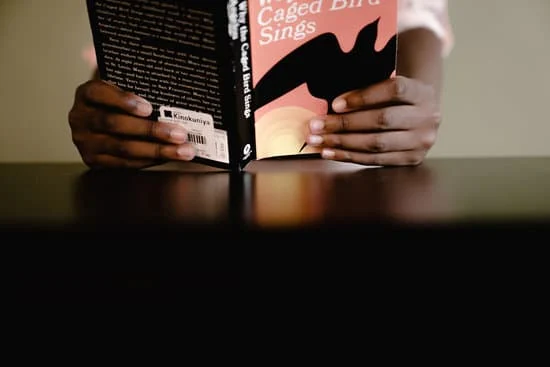 No tiene ni un libro : Il n'a pas un seul livre