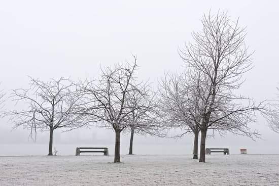 Ninguno, ninguna : Aucun, personne