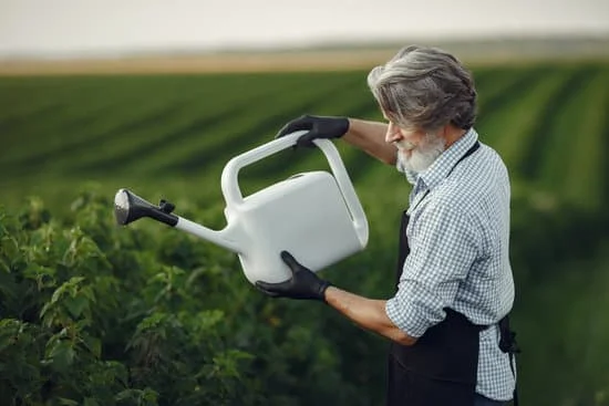 Algunos trabajan en el jardín : Quelques uns travaillent au jardin 