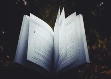 ¿De quién es este libro? : À qui est ce livre ?