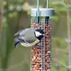 When **two Great Tits** are at the feeder, the **subordinate leaves**.