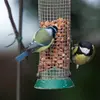 It often **imitates** its peers. It follows another Great Tit **to the feeder** before also perching to take a seed.
