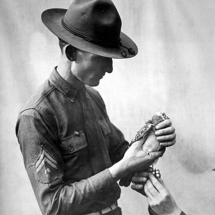 Certains pigeons ont d'ailleurs été médaillés pour avoir contribué à sauver des vies pendant la guerre 1914-1918