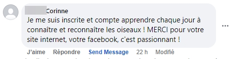 Corinne