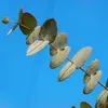 Les **feuilles** de **l'Eucalyptus globulus** sont **persistantes** et ont une **largeur notable lorsqu'elles sont jeunes**, avec une couleur **argentée**.