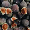 Les figuiers peuvent produire jusqu'à **100 kilogrammes de figues fraîches par arbre**, ou environ **30 kilogrammes de figues sèches**.