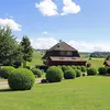 **Buxus sempervirens** est utilisé depuis longtemps pour ses qualités **ornementales** et **pratiques**, avec des usages allant de la **sculpture** au **tournage du bois**.