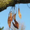 Ces gousses restent sur l'arbre jusqu'à l'hiver, contribuant à l'aspect décoratif même après la chute des feuilles.