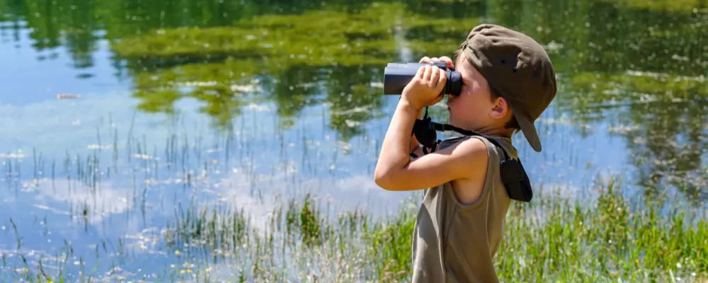 Why learn to recognize birds?