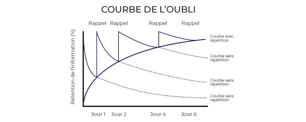 The forgetting curve shows how quickly we forget after learning