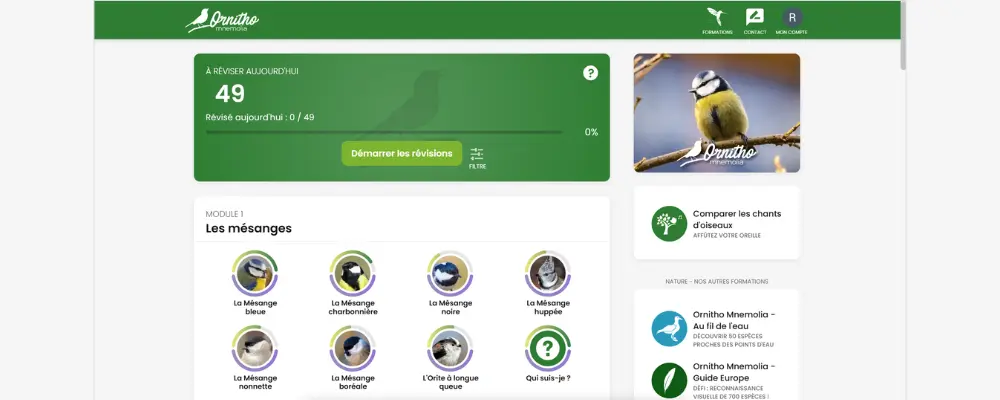 Dashboard of the Ornitho Mnemolia course