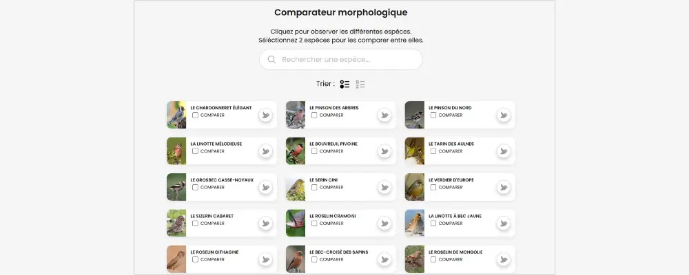 Morphological comparator in Ornitho Mnemolia - Guide Europe course