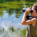 Hoe kies je een goede cursus ornithologie? De complete gids om vogels leren herkennen